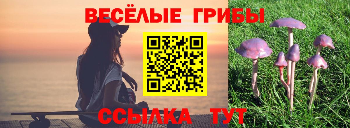 Корсаков  Галлюциногенные грибы Magic Shrooms  Псилоцибиновые грибы Magic Shrooms  Вход с VPN 